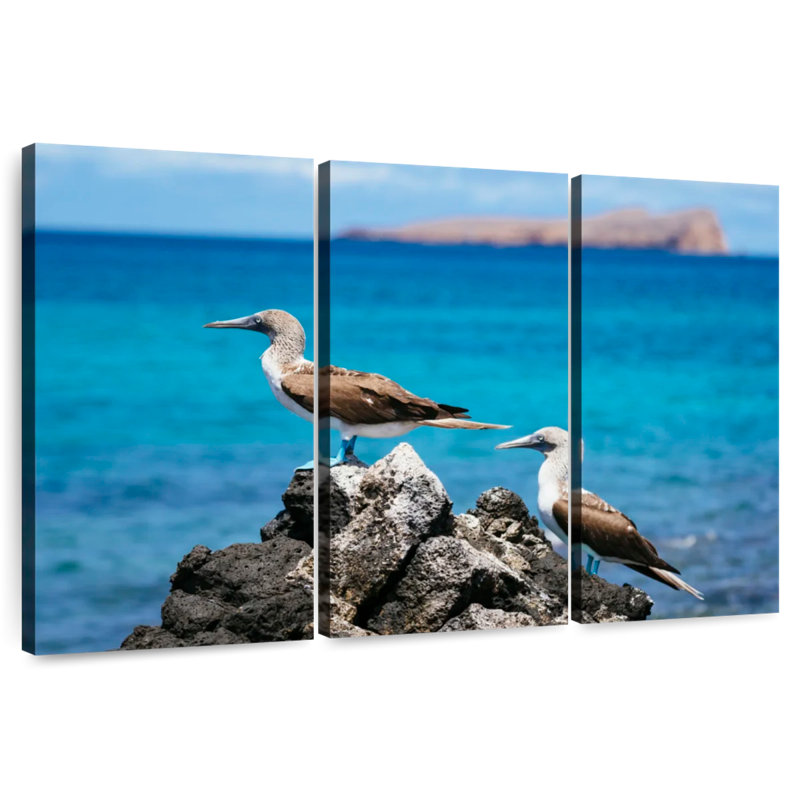 Blue-Footed Boobies At Sea, 42" H x 65" W
