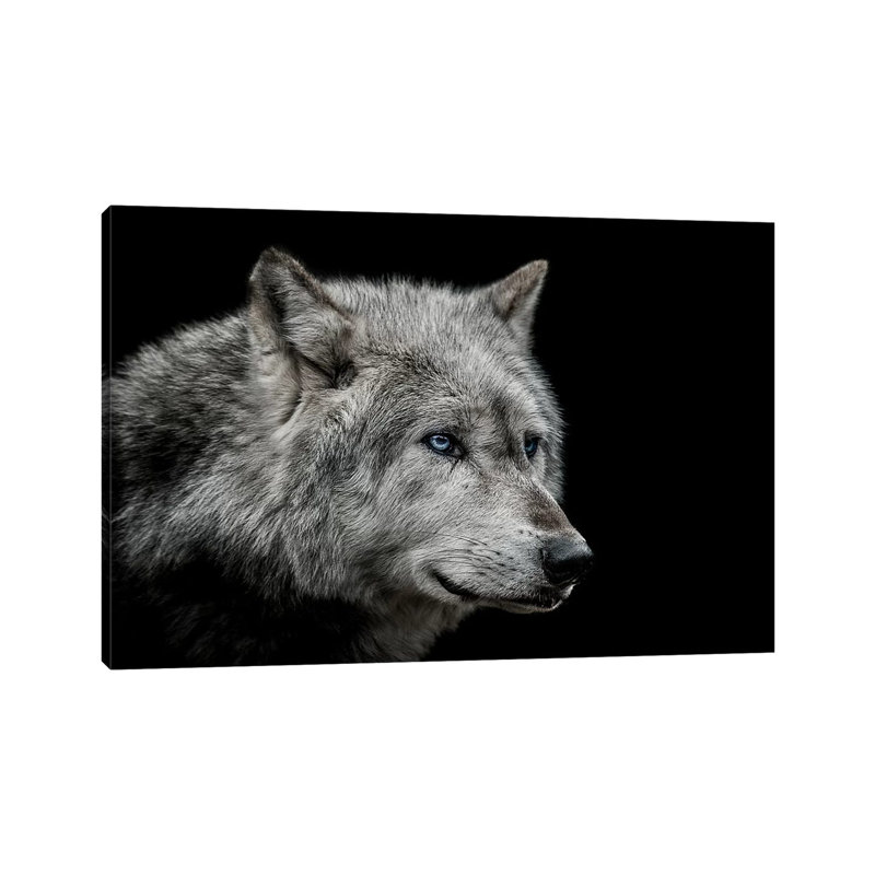 Old Blue Eyes by Paul Neville - Wrapped Canvas Print