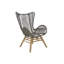 Baudin Upholstered Accent Chair with Footstool-1242122510