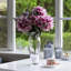 Dahlia dans un vase-355991675