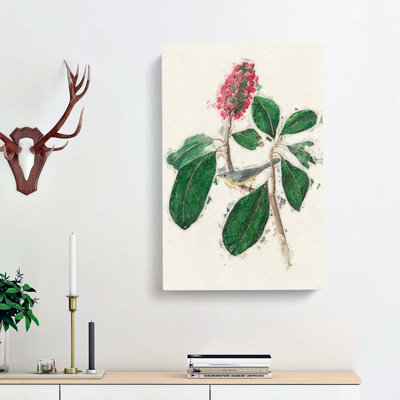 Bonapartes Flycatcher Bird by John Audubon - Wrapped Canvas