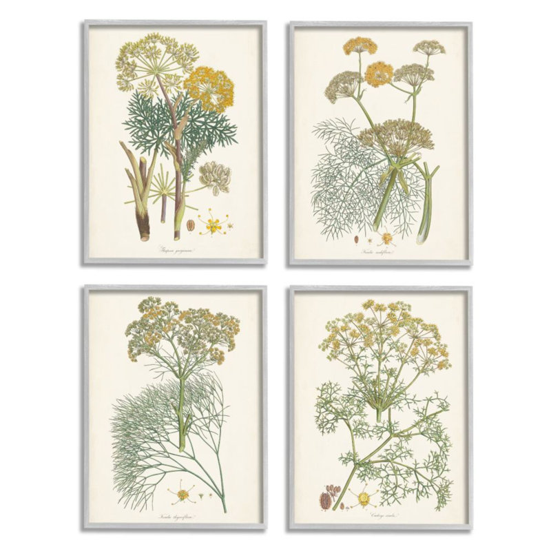 Vintage Saffron Study Floral Herb Canvas Prints with Gray Frame