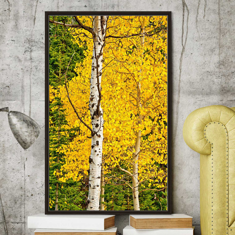 «Sunny Blooms», reproduction de photo, H 33,5 po x l 21,5 po x P 2 po, Cadre flottant espresso