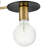 3-Light Two-Tone Semi-Flush Mount Ceiling Fixture
