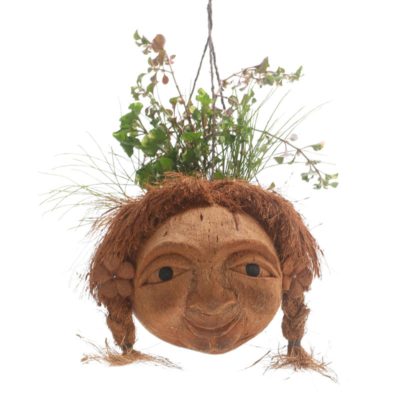 Pot à fleurs suspendu Elanur