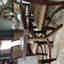 Customer photo 2 of 2