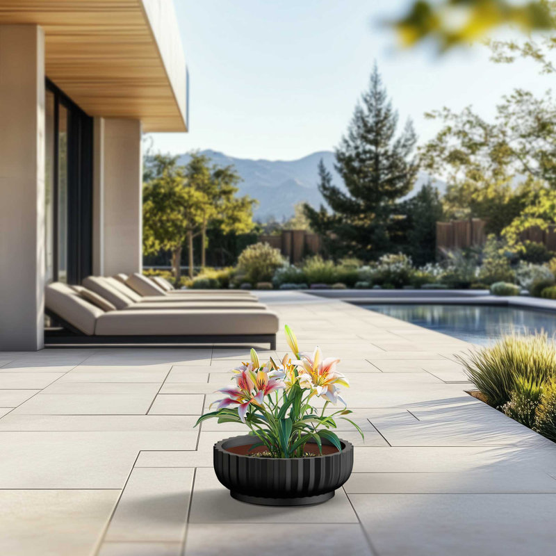 Grand pot / pot rond en béton avec trous de drainage, H 5,51 po x l 14,57 po x P 14,57 po