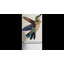 Set Of 2 Humming Birds Paper Collage Wall Art