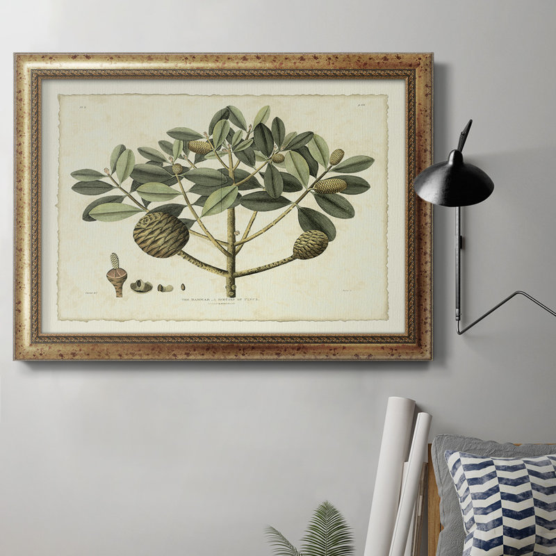 Delicate Botanical IV - reproduction d'art sur toile encadrée, H 27 po x l 18 po x P 2,5 po