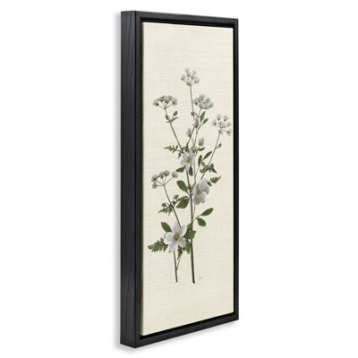 Budding Floral Herbs Sprig Framed Floater Canvas Wall Art, design by Nan
