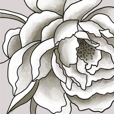 «Macro Peony S Croquis II» par Elizabeth Tyndall