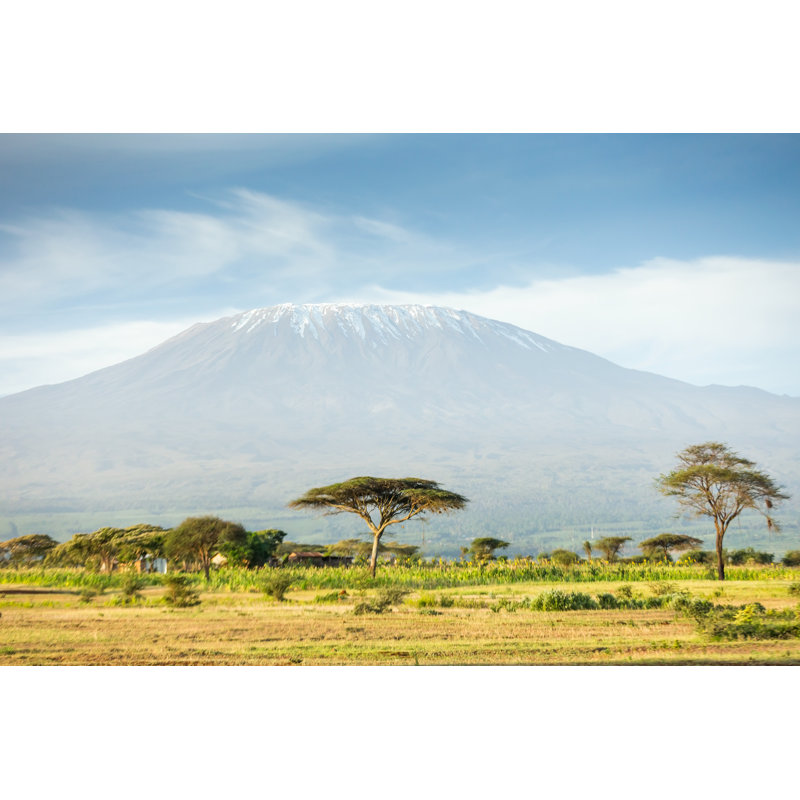 Mt Kilimanjaro And Acacia by 1001slide - No Frame Print on Canvas, 30cm H x 46cm W