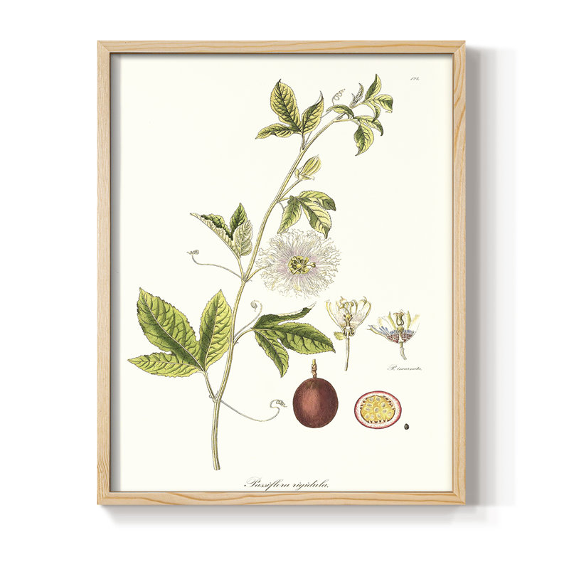 Passion Passion Trio II, reproduction encadrée - bois massif