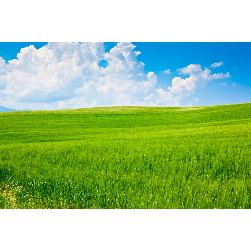 Blue Sky And Clouds by ZoneCreative - Wrapped Canvas Print, 61cm H x 91cm W
