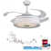 Taichi 42'' Ceiling Fan with LED Lights