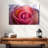 Harnek Misty Pink Rose-111960689