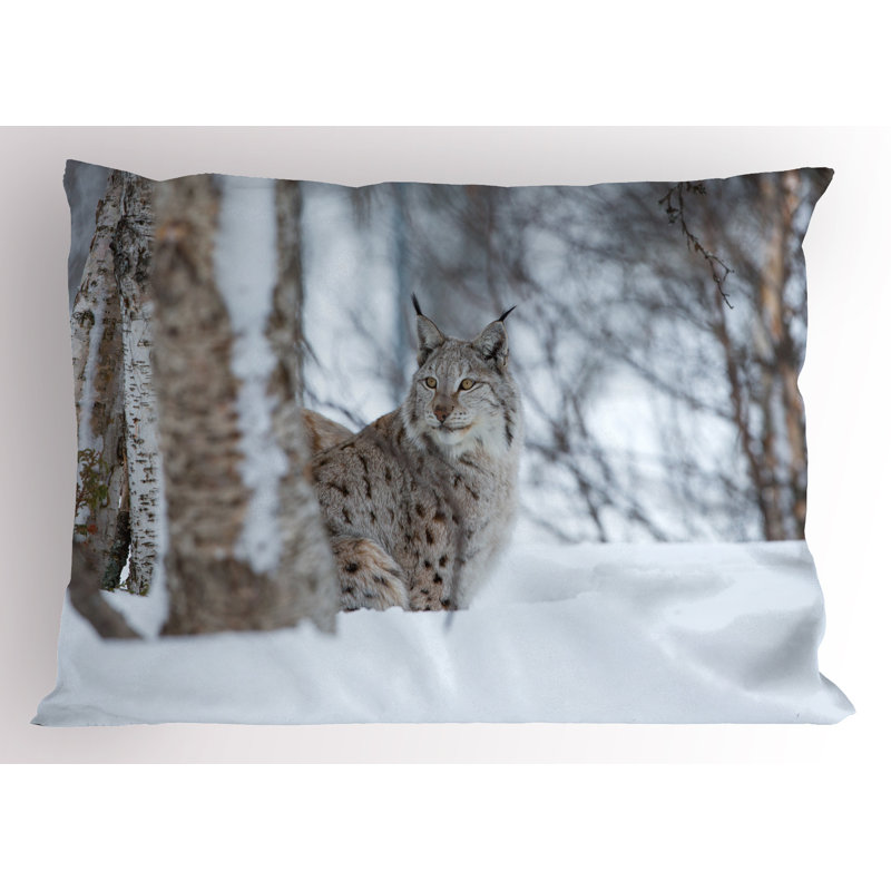 Ensemble de 2 taies décoratives pour animaux Ambesonne, H 20 po x l 36 po