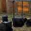 Photos des clients 5 de 5