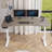 Latysha Adjustable Height Steel Standing Desk-1510095606-1517718088