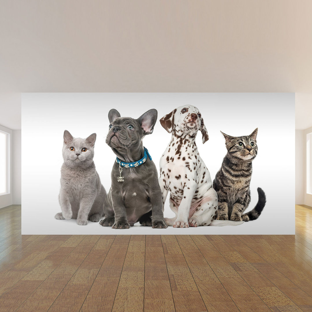 Regitze Peel & Stick Tile Ebern Designs 