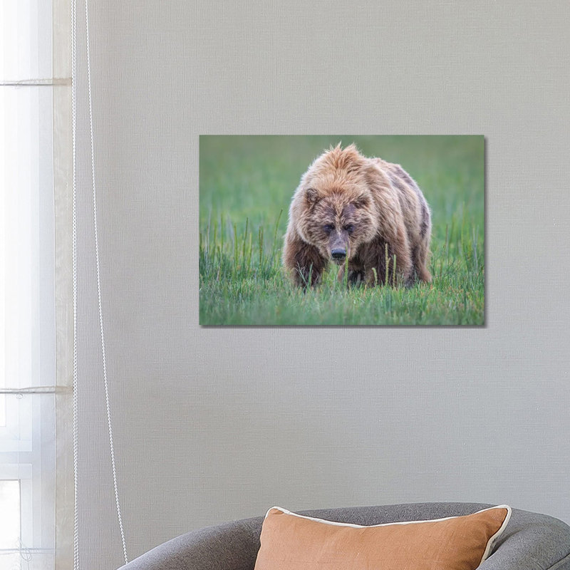 Coming Right At You by Jeffrey C. Sink - Wrapped Canvas Print, 66.04 cm H x 45.72 cm W x 1.91 cm D