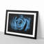Pretty Blue Rose - Picture Frame Graphic Art Print-56861431-56861433