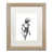 Black Framed