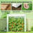 Outdoor Mini Greenhouse,Modern Greenhouse-123950865