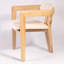 Serena Upholstered Arm Chair-378691938-378691937