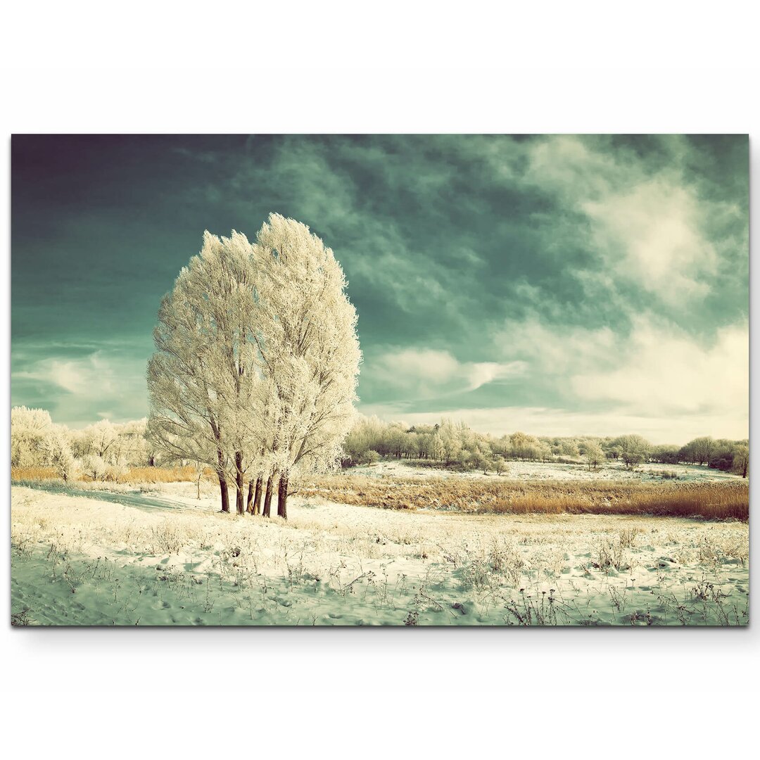 Leinwandbild Eisige Winterlandschaft mit Baum