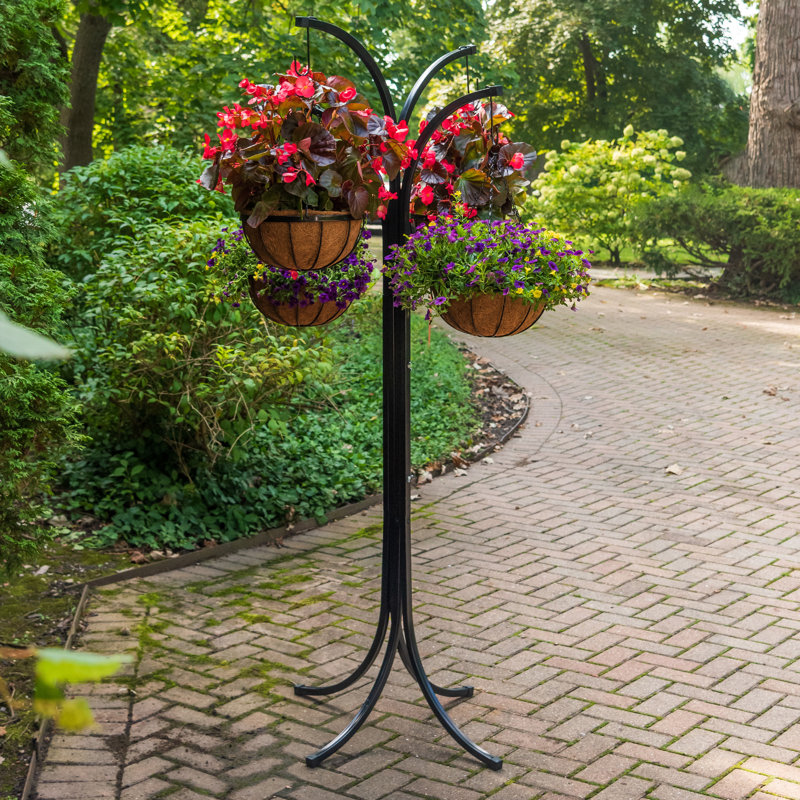 Black Metal 4-Arm Tree with Hanging Baskets