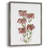 Watercolor Blooms II Framed Print - Solid Wood-1319188785