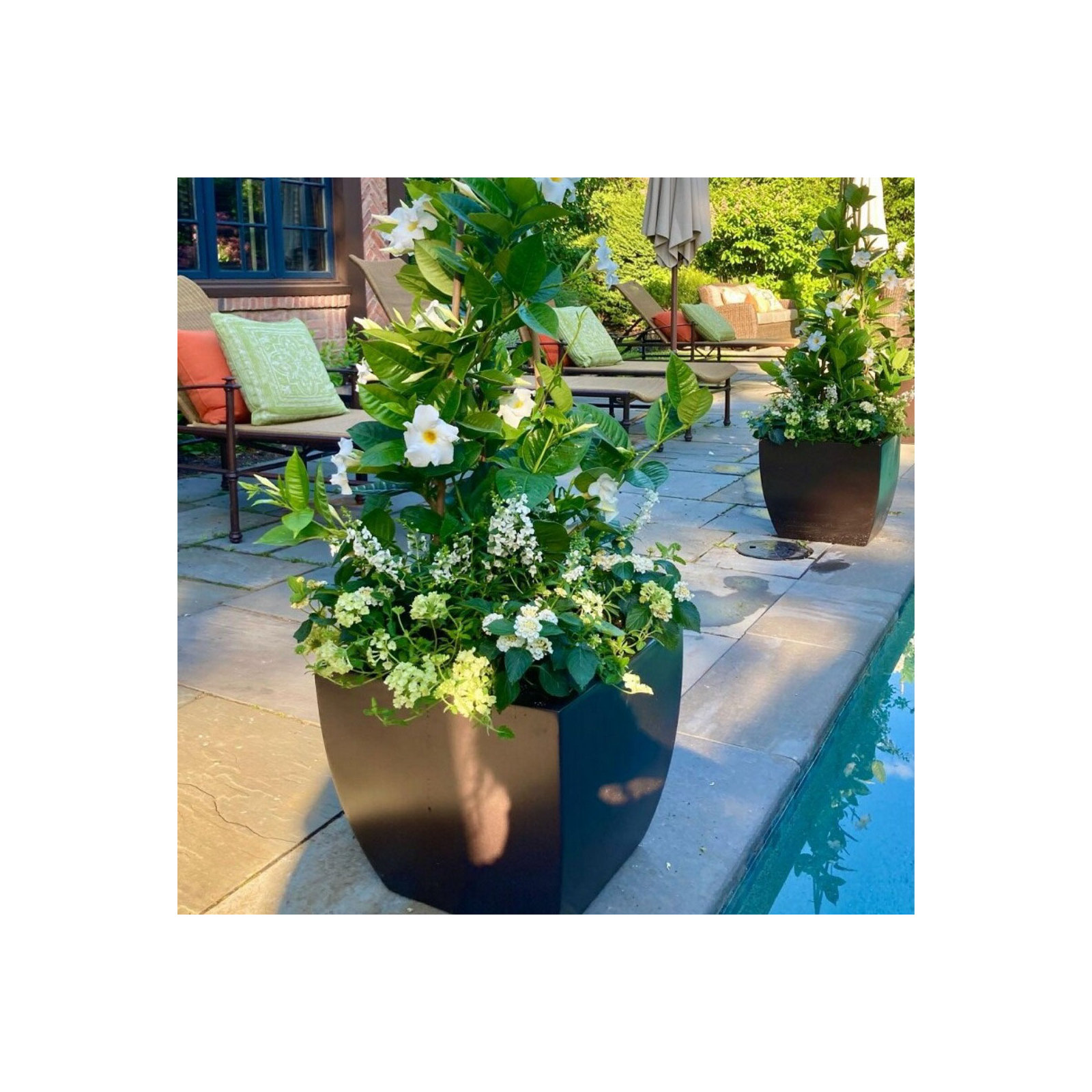 Pacifica Square Curved Planter Box, 11" H x 12" W x 12" D, Brown