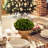 11'' Faux Cypress Topiary in Pot