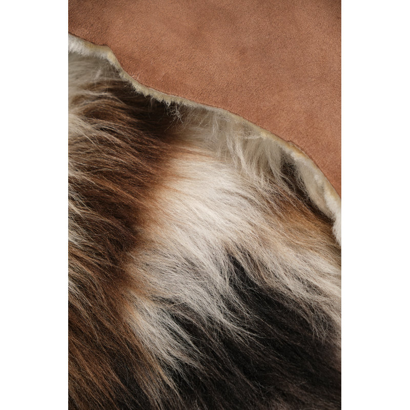 Aaleiah Sheepskin Hand Woven Area Rug, Novelty 75cm x 100cm