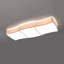 Asher-Micah Flush Mount