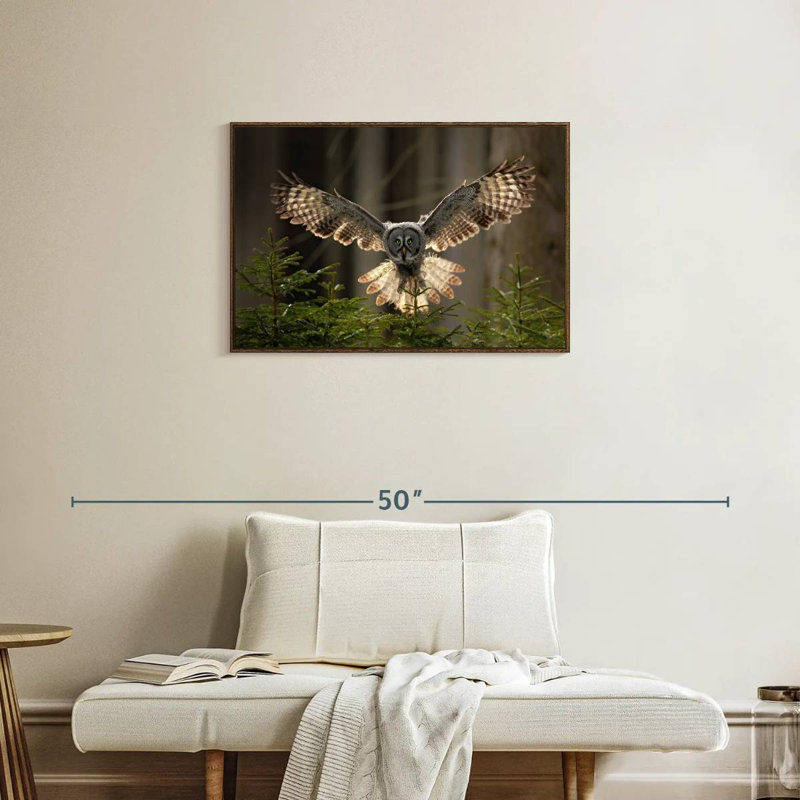 Hibou volant, Cadre flottant en noyer, 31 po x 21 po