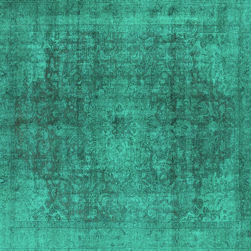Cumber Oriental Indoor Rug, Square 4'