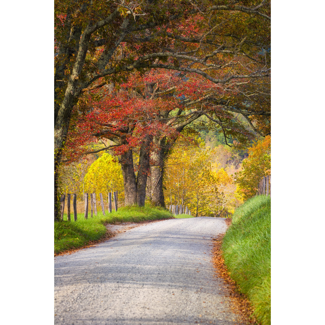 Late Autumn Afternoon In The Smokies - Wrapped Canvas Print