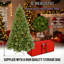 6FT H Lighted Artificial Pine Christmas Tree