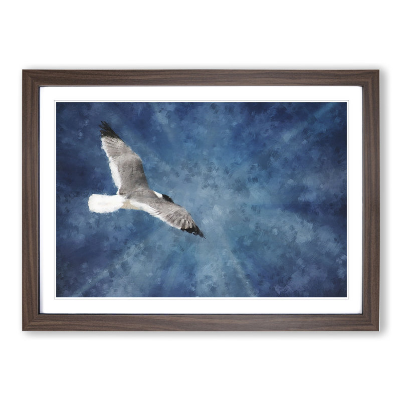 Seagull in Flight Vol.1 - Picture Frame Graphic Art, 36cm H x 48cm W x 2cm D, Walnut Framed