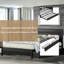 Lit Hammond Yazoo-1194092784