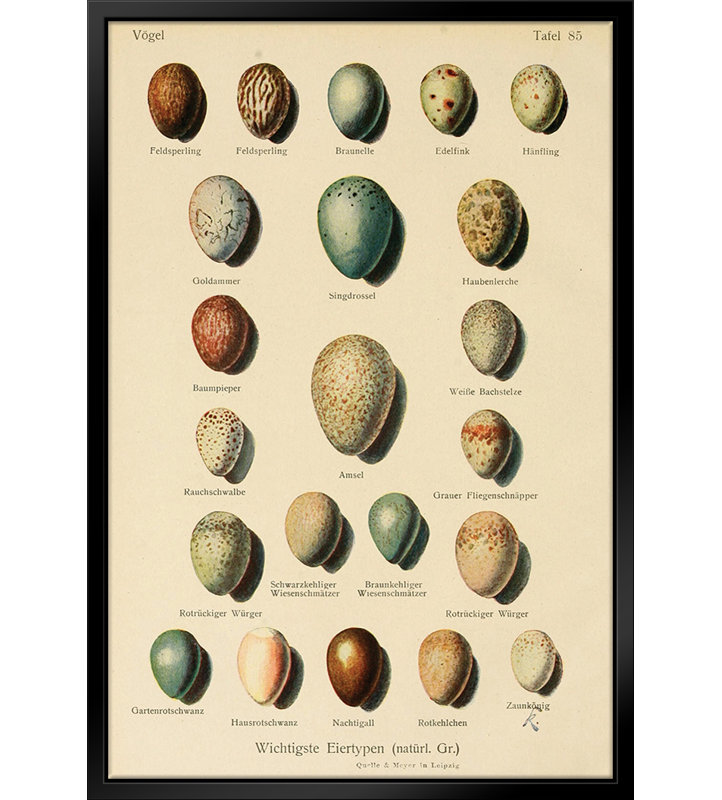 «Vintage Set of Eggs - Floater Frame», impression sur toile, H 14 po x l 11 po x P 2 po