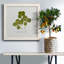 Toile encadrée pressée «Clover II» de qualité supérieure - prête à être accrochée-477127864-477127868