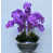 Light Purple is out of stock selected