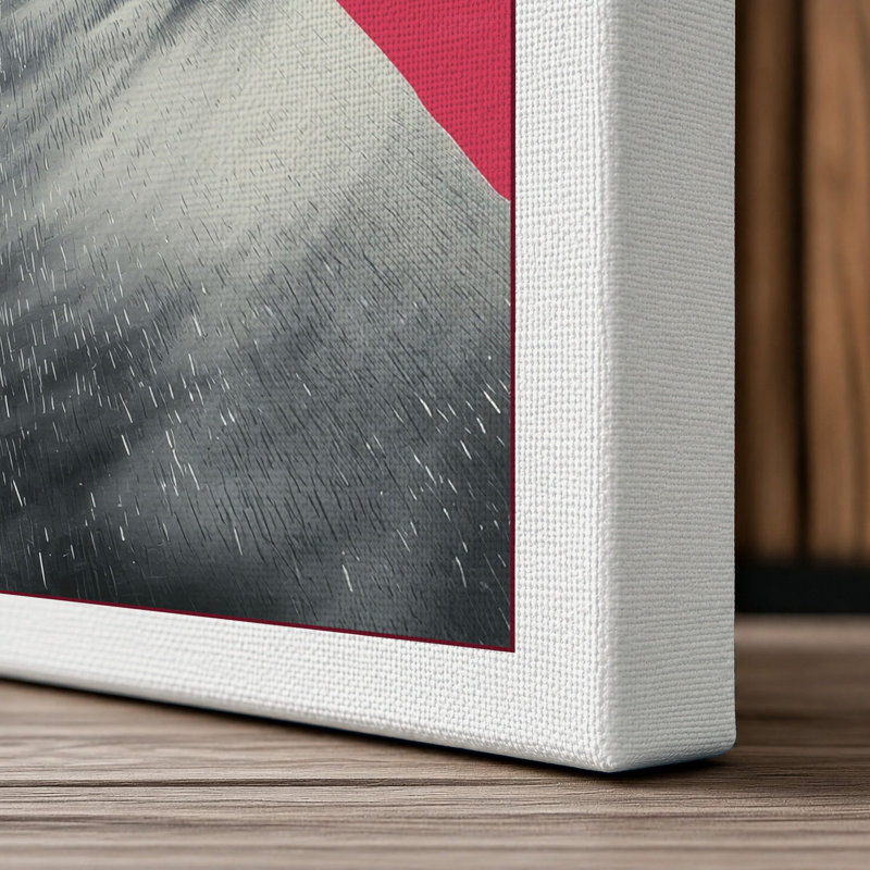 Seal in Pink Modern - Wrapped Canvas, 18x12 - 45.7 x 30.5 cm, White Border