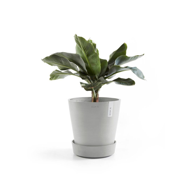 Jardinières en pot, Blanc gris