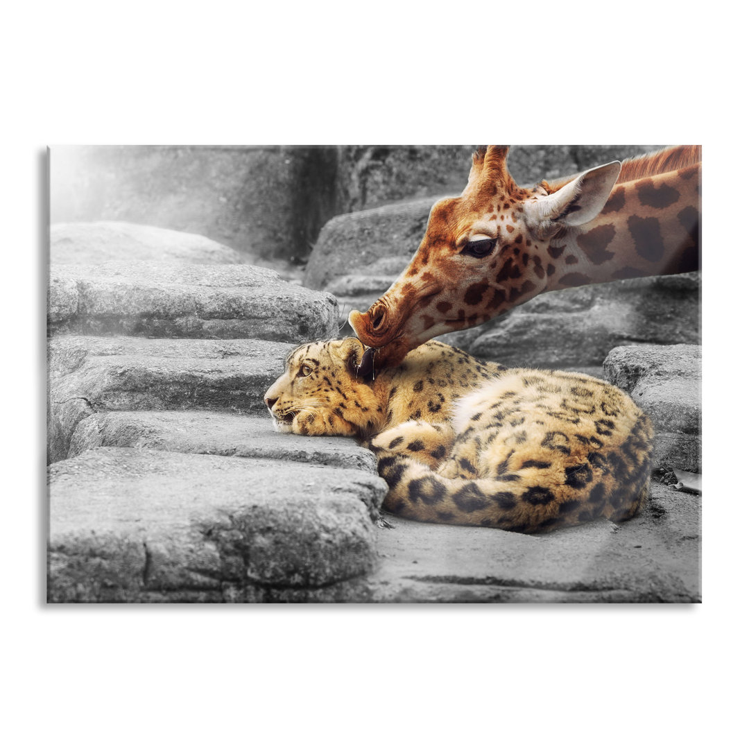 Glasbild Leopard und Giraffe