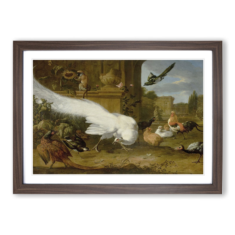 Fowls and a White Peacock by Melchior D'hondecoeter - Picture Frame Painting, Walnut Framed, 48cm H x 65cm W x 2cm D