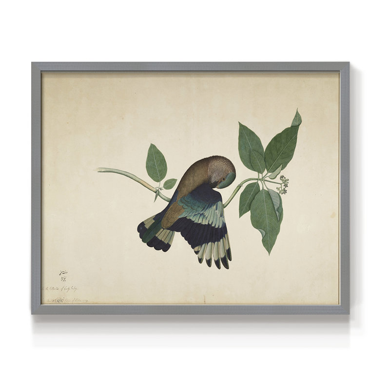 Faune rétro-XV - reproduction encadrée, Gris, H 11 po x l 14 po